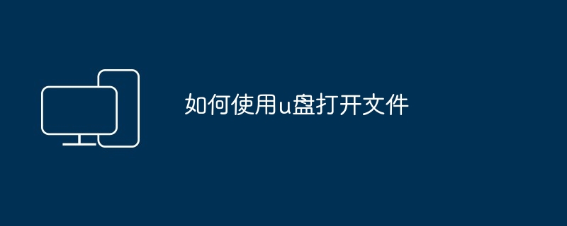 2024如何使用u盘打开文件