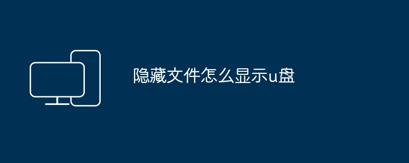 2024隐藏文件怎么显示u盘