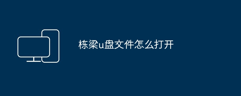 2024栋梁u盘文件怎么打开