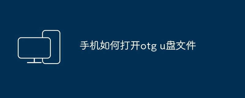 2024手机如何打开otg u盘文件