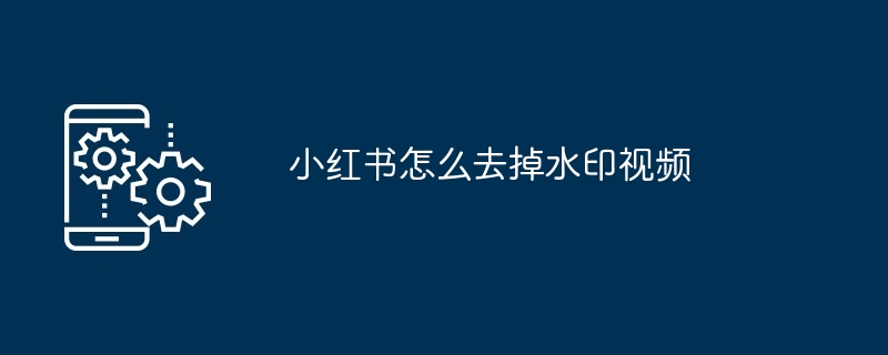 2024小红书怎么去掉水印视频