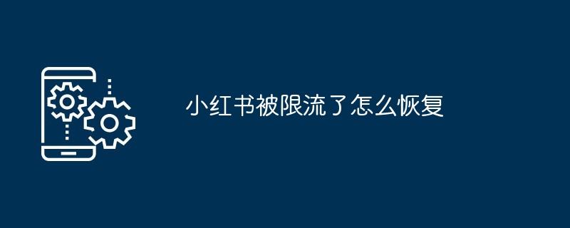 2024小红书被限流了怎么恢复