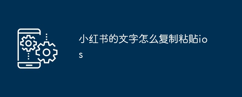 2024小红书的文字怎么复制粘贴ios