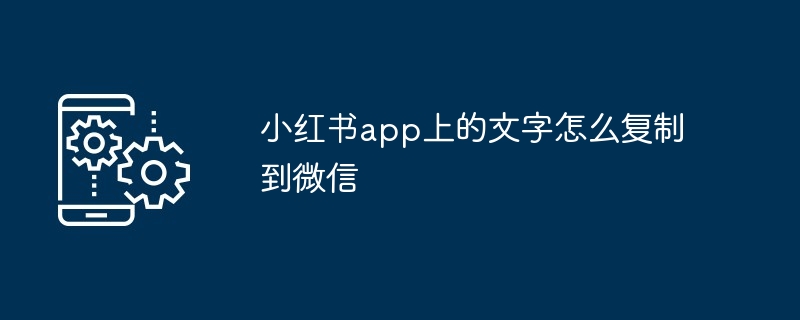 2024小红书app上的文字怎么复制到微信