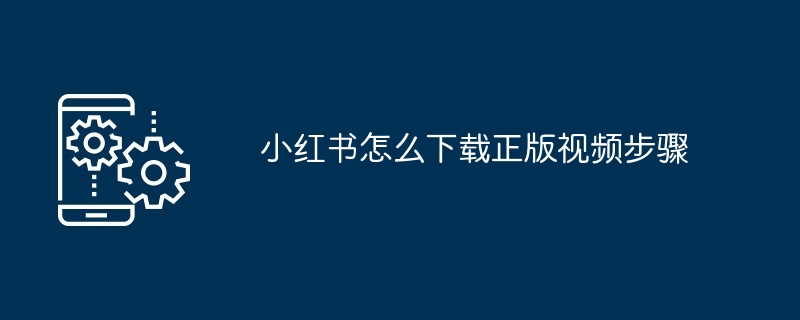 2024小红书怎么下载正版视频步骤