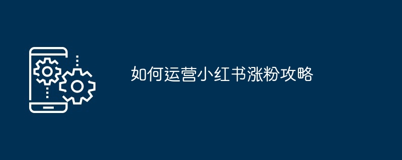 2024如何运营小红书涨粉攻略