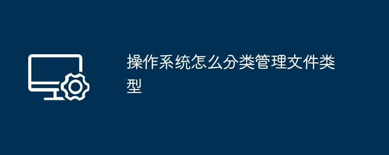 2024操作系统怎么分类管理文件类型