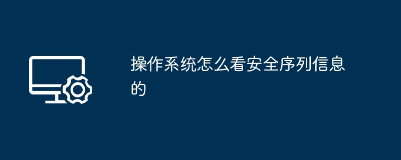 2024操作系统怎么看安全序列信息的