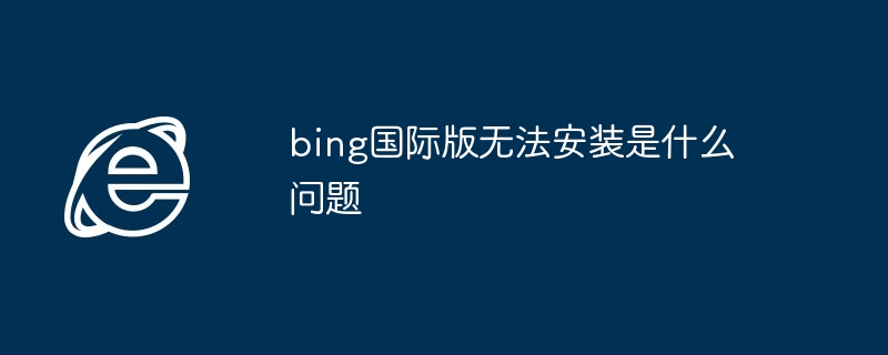 2024bing国际版无法安装是什么问题