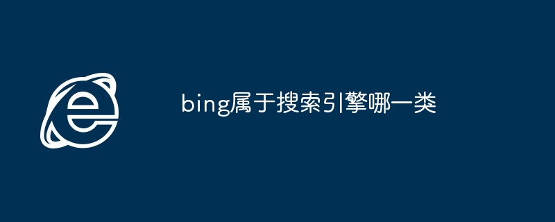 2024bing属于搜索引擎哪一类