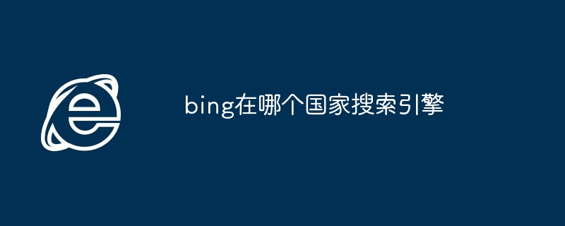 2024bing在哪个国家搜索引擎