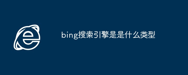 2024bing搜索引擎是是什么类型