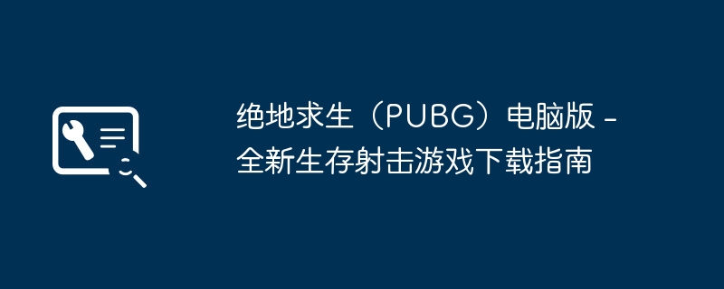 绝地求生（PUBG）电脑版 - 全新生存射击游戏下载指南