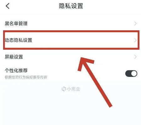 小黑盒怎么设置动态隐私