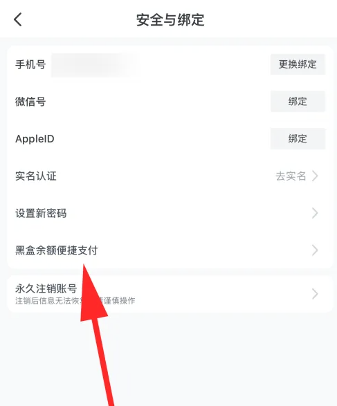 小黑盒怎么设置支付密码