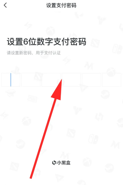 小黑盒怎么设置支付密码