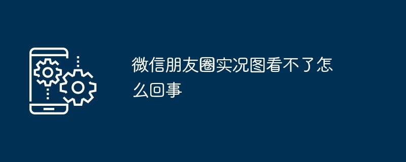 微信朋友圈实况图看不了怎么回事