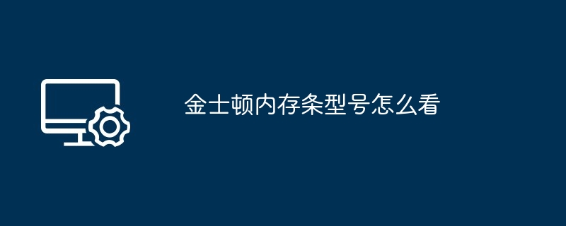 2024年金士顿内存条型号怎么看