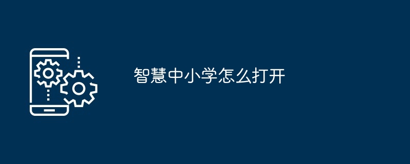 2024年智慧中小学怎么打开