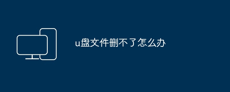 2024年u盘文件删不了怎么办