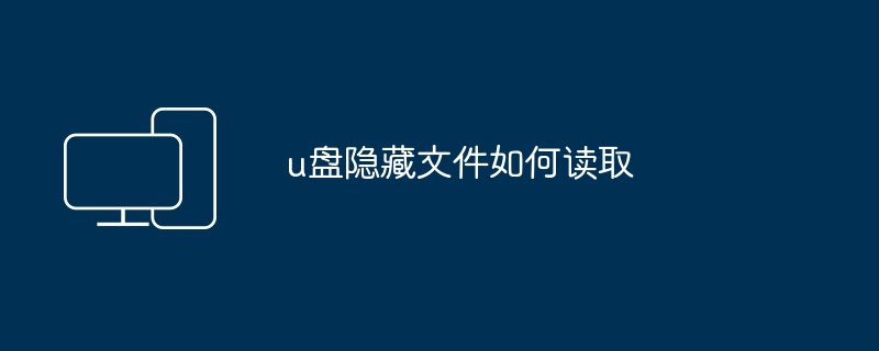 2024年u盘隐藏文件如何读取