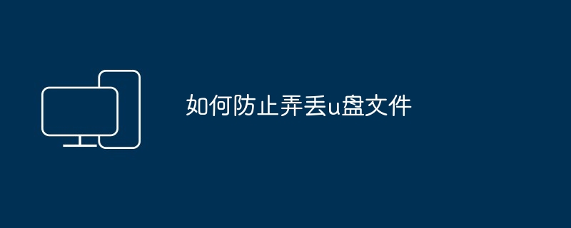 2024年如何防止弄丢u盘文件