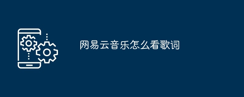 2024年网易云音乐怎么看歌词