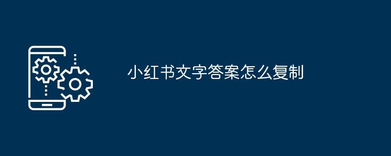 2024年小红书文字答案怎么复制