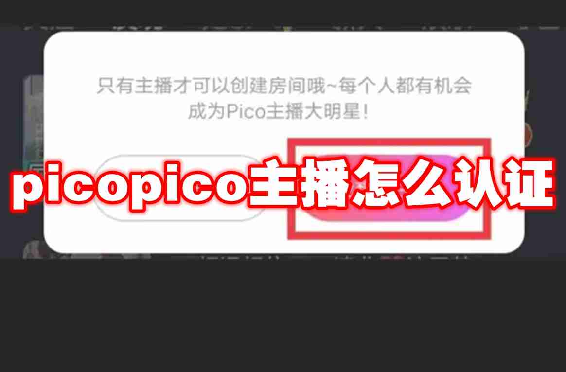 2024年picopico主播怎么认证