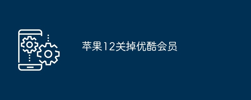 2024年苹果12关掉优酷会员