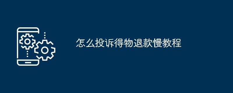 2024年怎么投诉得物退款慢教程