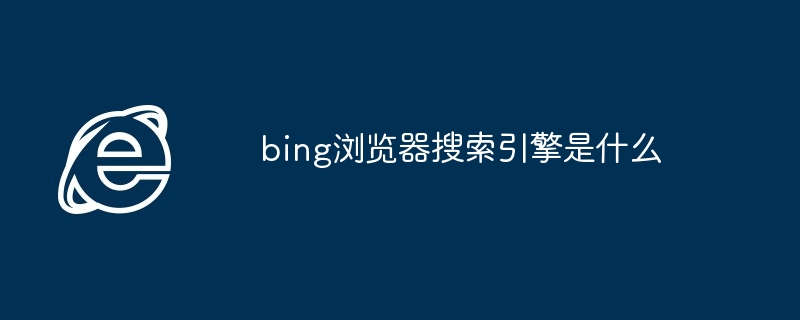 2024年bing浏览器搜索引擎是什么