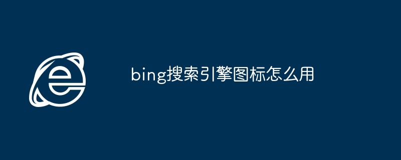 2024年bing搜索引擎图标怎么用