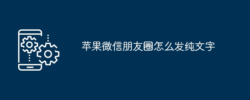 2024年苹果微信朋友圈怎么发纯文字