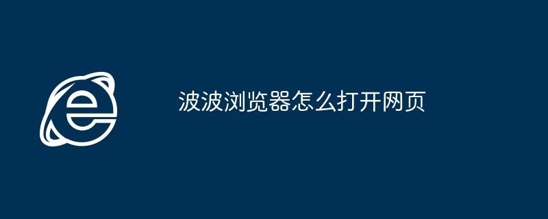 2024年波波浏览器怎么打开网页