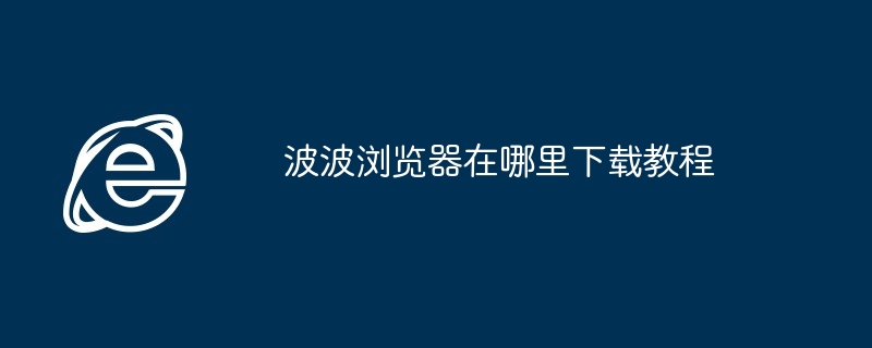 2024年波波浏览器在哪里下载教程