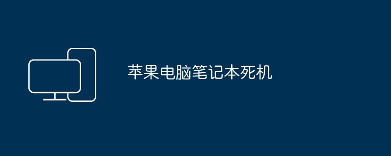 2024年苹果电脑笔记本死机