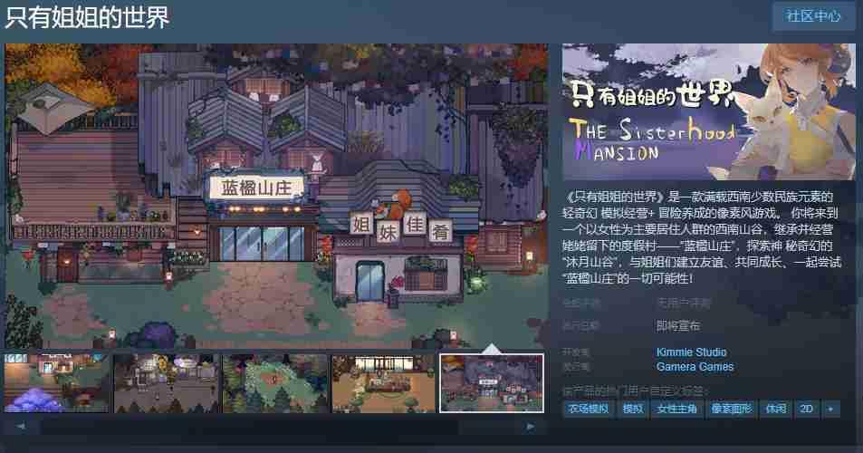 2024年像素游戏《只有姐姐的世界》Steam页面上线 发售日待定