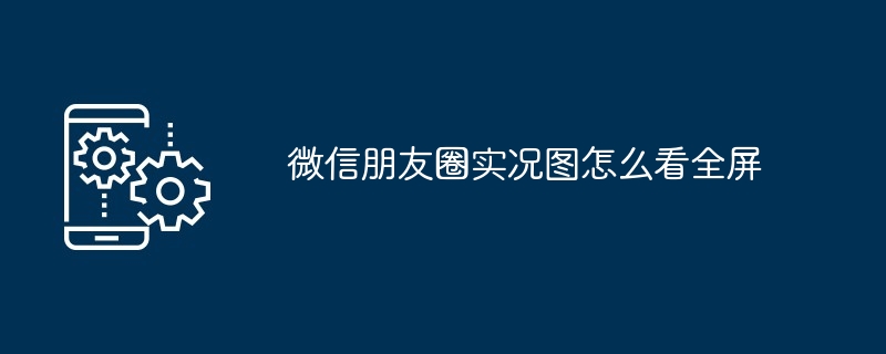 2024年微信朋友圈实况图怎么看全屏