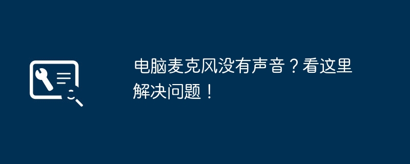 2024年电脑麦克风没有声音？看这里解决问题！