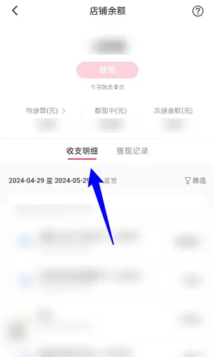 2024年小红书千帆怎么查看收支明细 查看收支明细操作方法
