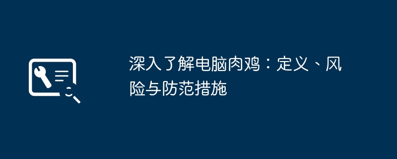 2024年深入了解电脑肉鸡：定义、风险与防范措施