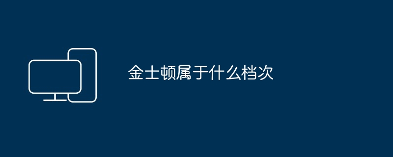 2024年金士顿属于什么档次