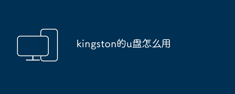 2024年kingston的u盘怎么用