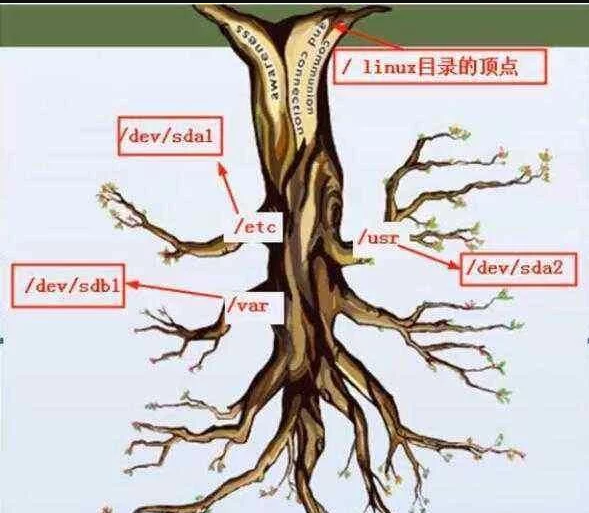 2024年从两个方面来阐述下linux为什么不允许创建文件夹的硬链接