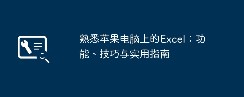 2024年熟悉苹果电脑上的Excel：功能、技巧与实用指南