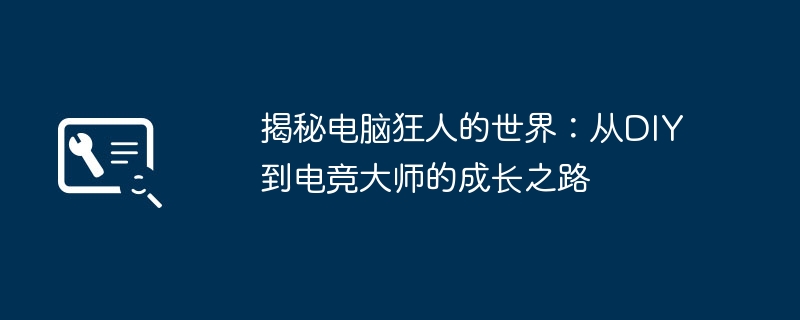 2024年揭秘电脑狂人的世界：从DIY到电竞大师的成长之路