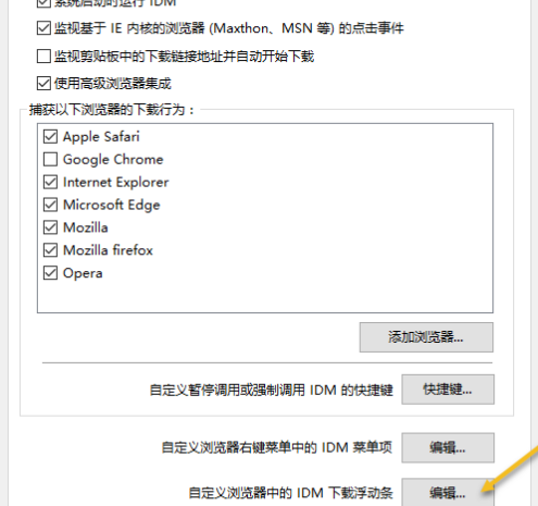 2024年IDM下载器如何取消浮动条