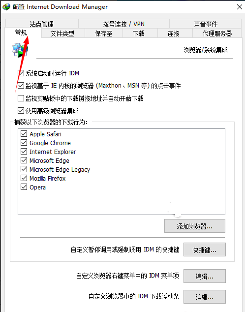 2024年IDM下载器如何取消浮动条