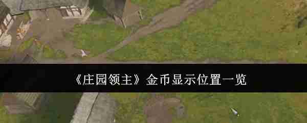 2024年《庄园领主》金币显示位置一览